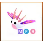 MFR sea slugs