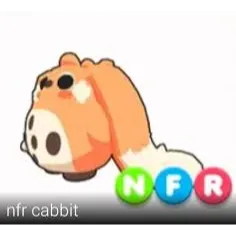 nfr cabbit