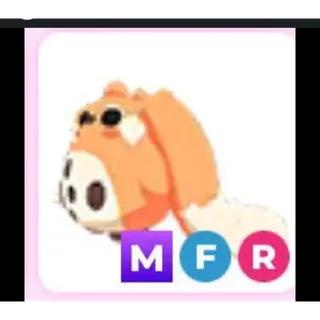 MFR CABBIT