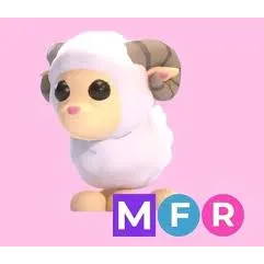 mfr ram
