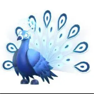 Moonbeam Peacock