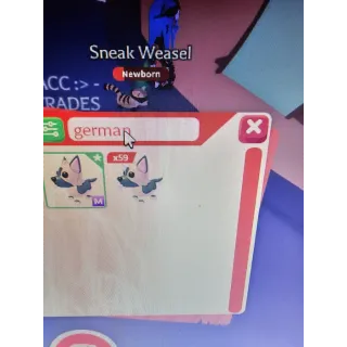 mega german shepherd