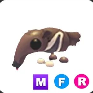 MFR Giant Anteater