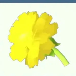 50x GOLDEN DANDELION
