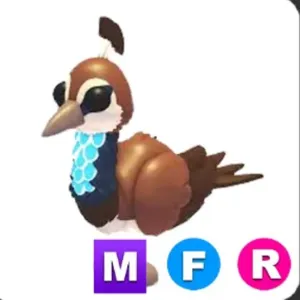 MFR Peahen