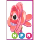 nfr rose dragon