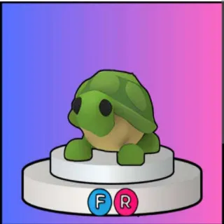 FR turtle