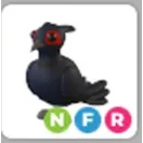 nfr black chested pheasant
