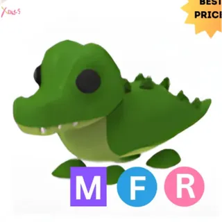 MFR CROCODILE