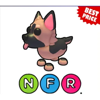 nfr german shepherd