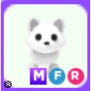 mfr arctic fox