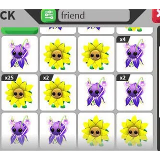 16x Sunflower & Violet Friend