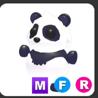 MFR Giant Panda