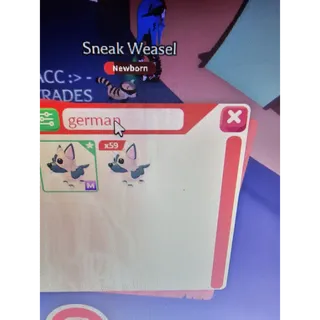 mega german shepherd