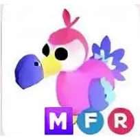 mfr dodo