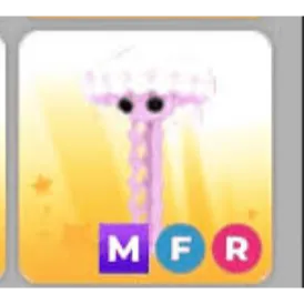 mfr jellyfish