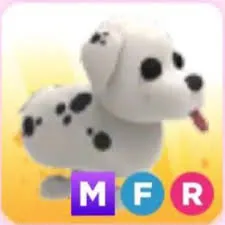 mfr dalmatian