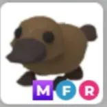 mfr platypus
