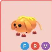 MFR Corn doggo