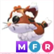 MFR MUNCHKIN CAT