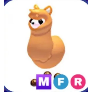 MFR ALPACA