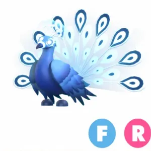 FR MOONBEAM PEACOCK