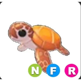NFR Sea Turtle