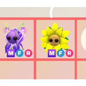 MFR SUNFLOWER & VIOLET FRIEND