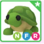 nfr turtle