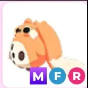 MFR CABBIT