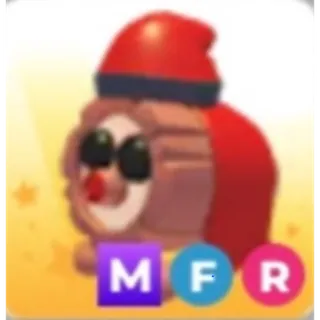 MFR Tio De Nadal