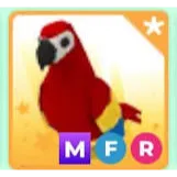 mfr parrot