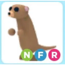 nfr meerkat