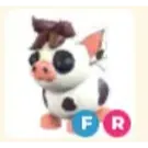 fr mini pig 