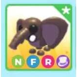 NFR ELEPHANT BUSH