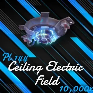 10k Electric Field