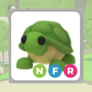 Turtle NFR