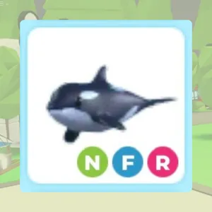 NFR Orca