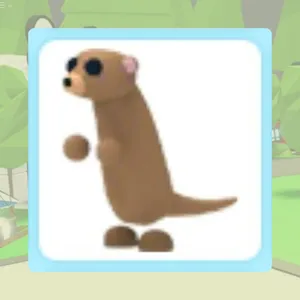 Meerkat
