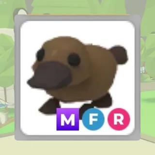 MFR Platypus