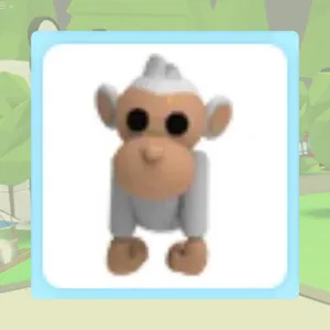 Albino Monkey