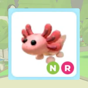 NR Axolotl