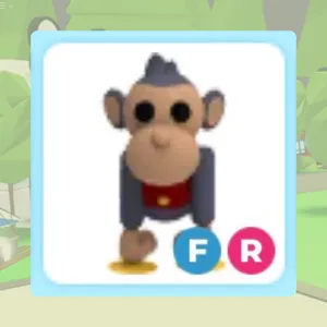 FR Toy Monkey