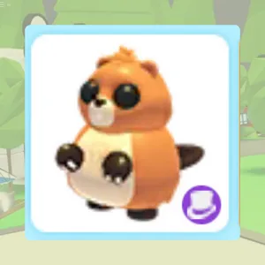 x4 Ranger Beaver