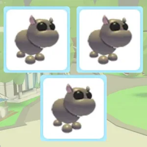 Hippo x3