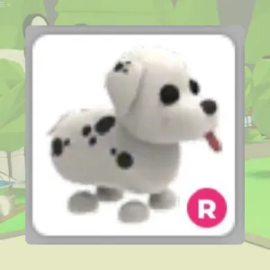 R Dalmatian