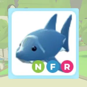 NFR Shark