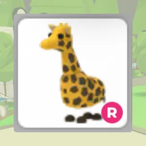 Giraffe R