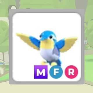 MFR Diamond Hummingbird