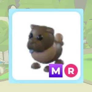 MR Chocolate Chow Chow